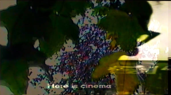 FOREVER JLG