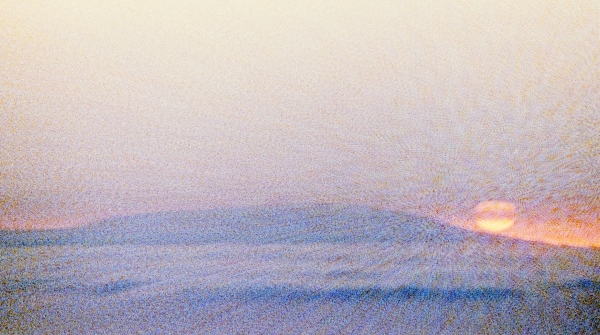 BLOOM